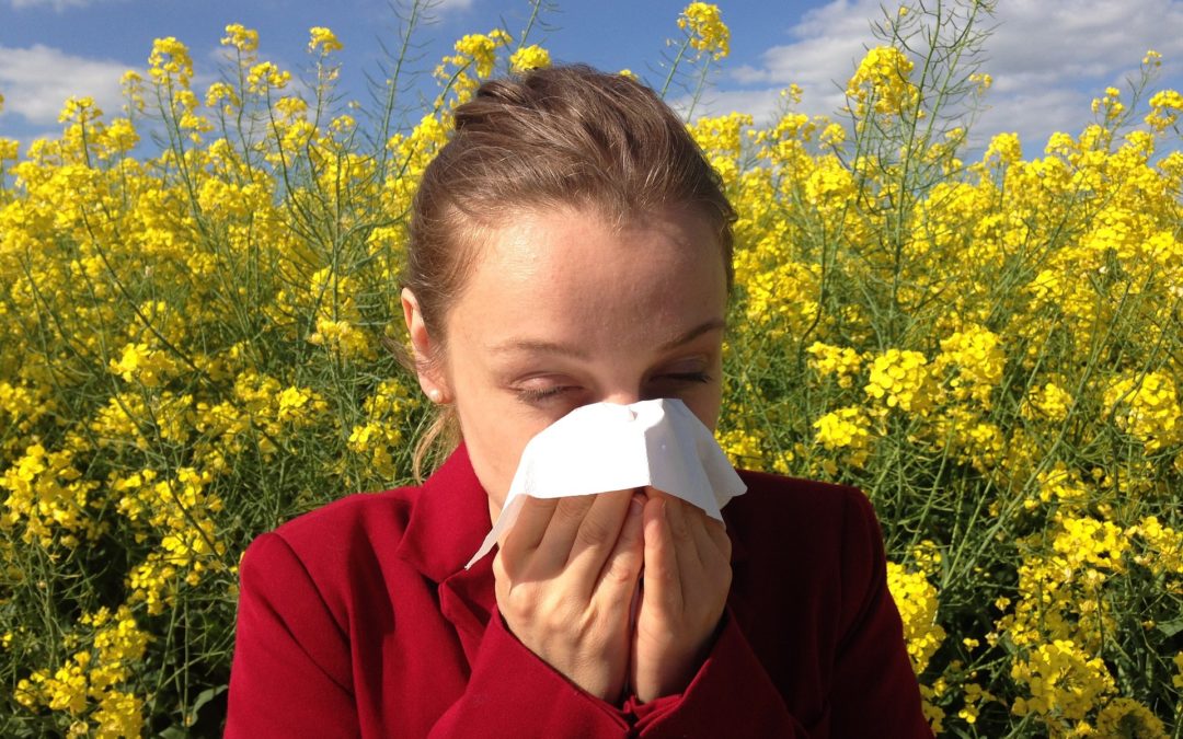 Alergia primaveral: remedios naturales