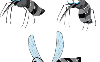 10 RECOMENDACIONES PARA QUE LOS MOSQUITOS NO TE AMARGUEN EL VERANO