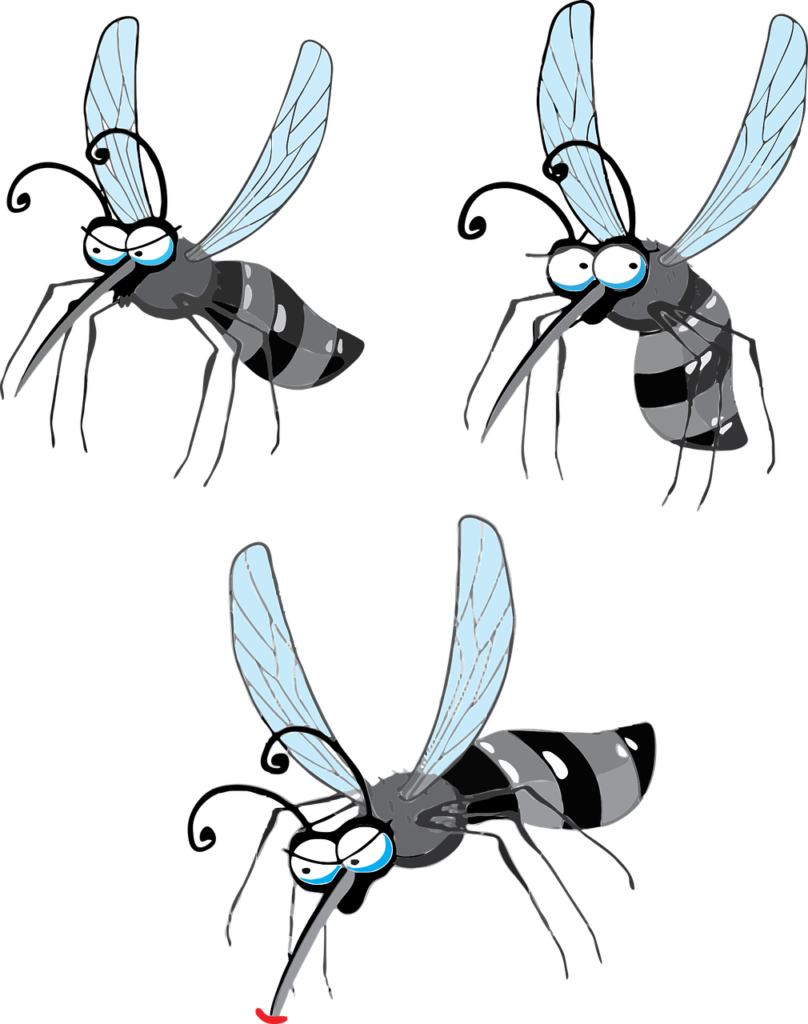mosquitos-dibujo