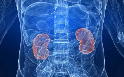 Enfermedad Renal Crónica, una epidemia silenciosa