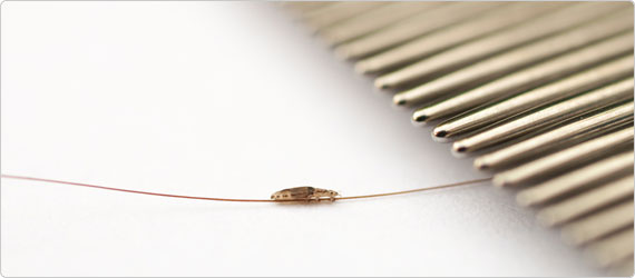 Prevención y tratamientos eficaces contra los piojos